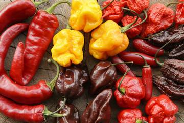 Assorted mix of very hot peppers on a wooden background
