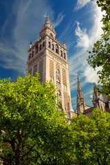 view of the famous Giralda in Seville, Spain