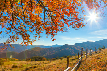 Panele Szklane Podświetlane  Poranny jesienny krajobraz - żółte liście nad górami
