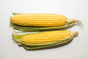 Ripe fruits of corn on over white