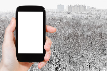 smartphone and snowy forest near city