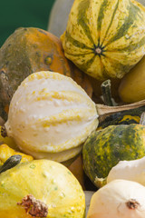 decorative pumpkins