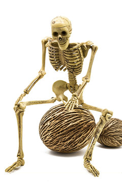 Model skeleton sitting on ball