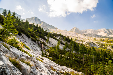 mountain peak in a summer day