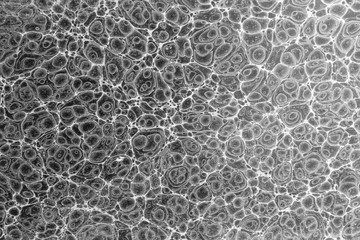 Black and White Marbling Effect on Paper