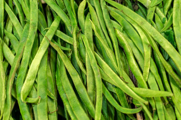 Closeup of Fresh Green Runner Beans