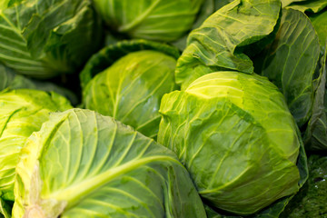 Closeup of Fresh Green Cabbages