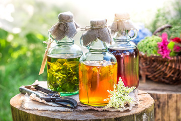 Healing tincture in bottles as natural medicine