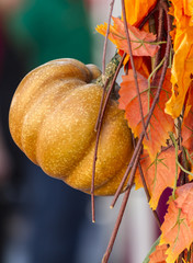 decorative pumpkins