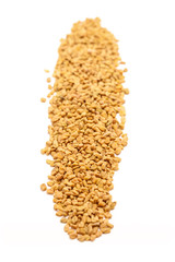 Row of Organic Fenugreek (Trigonella foenum-graecum) isolated on white background.