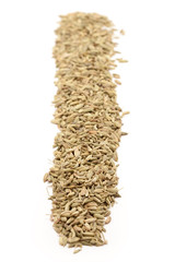 Row of Organic Fennel seed (Foeniculum Vulgare) isolated on white background