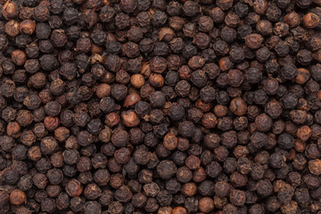 Organic Black pepper (Piper nigrum)  closeup background texture.