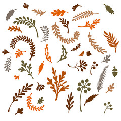 Fototapeta na wymiar colorful autumn leaves. Vector illustration.
