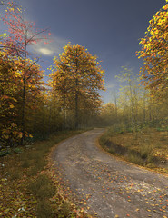 Rural road in autumn, in clear weather with little cloud cover