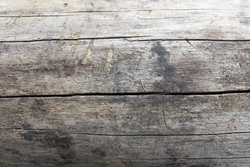 Old wood texture as a background image