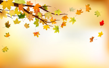 Branch with autumn maple leaves on natural background, vector illustration.