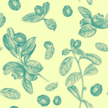 Seamless pattern with cranberry. Drawing with pencils.