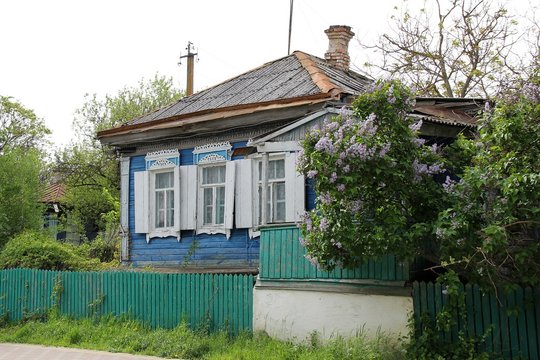 old wooden house and a lilac bush