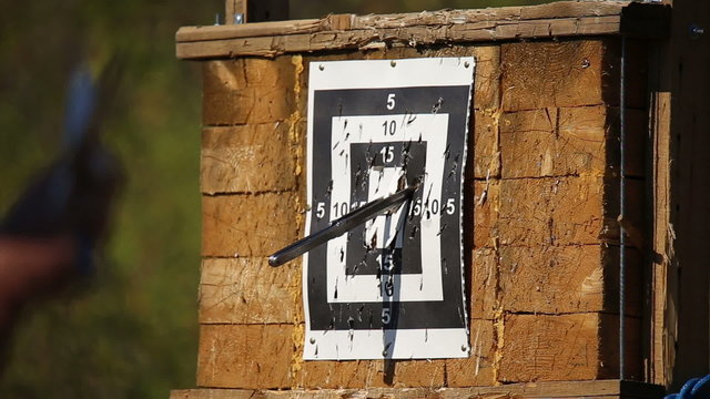 Tournament throwing knives at targets in  Center historical simulation "Ancient World"
