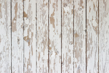 Fototapeta premium The white wood texture with natural patterns background