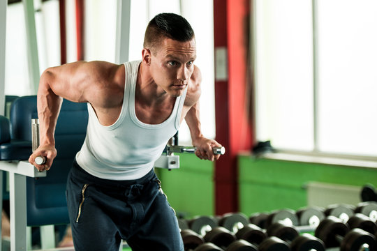 phisique fitness competitor works out in gym lifting dumbbells