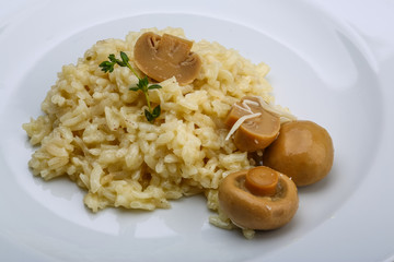 Risotto with mushroom
