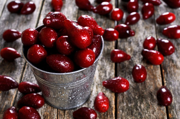 Dogwood berries