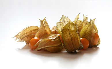 Physalis fruit