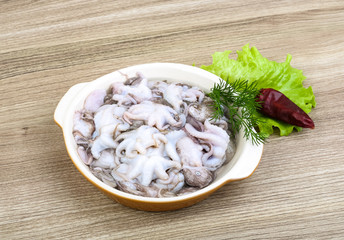 Raw baby octopus