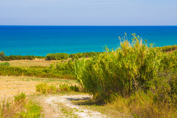 Fototapeta na wymiar Sentiero per la spiaggia di Mottagrossa