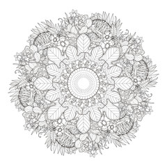 exquisite mandala pattern design