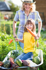 Child having fun in a wheelbarrow pushing by mother in domestic