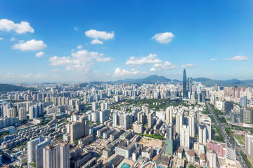 Fototapeta premium skyscrapers and mansions of a modern city