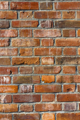 レンガの壁の背景 Brick wall  background