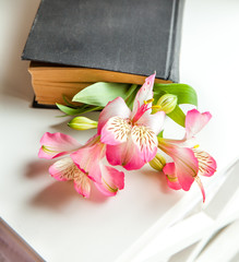 Alstroemeria flowers with book 