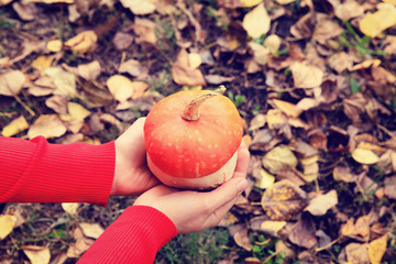 Hand holding pumpkin on fall leaves