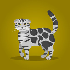 Fototapeta na wymiar Scottish Fold cat. Vector Illustration