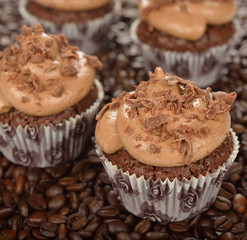 Chocolate cupcakes