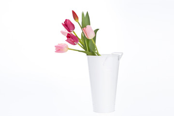 バケツとチューリップ