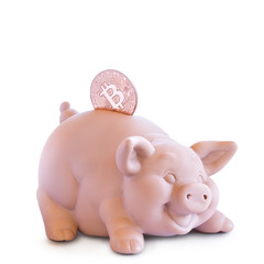 Moneybox. Piggy bank with one golden Bitcoin (new virtual money ) on a white background .