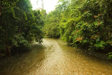 Fototapete Rund Dschungelfluss in Borneo © Juhku