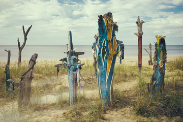 Colored pieces of tree trunks cast ashore on the Baltic beach