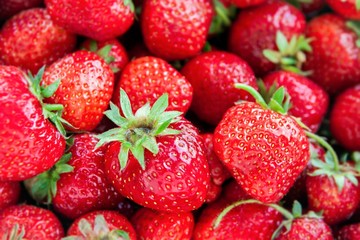 Fototapeta na wymiar Red juicy and tasty organic strawberries