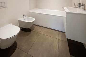 bathroom, toilet and bidet