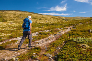 hiker with backpack traveling in Norway mountains Dovre