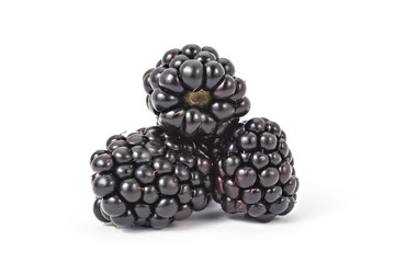 Blackberries isolated on white background