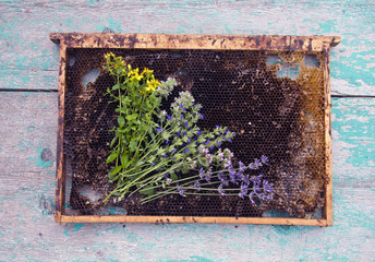Herbs and honeycomb on rustic wooden background