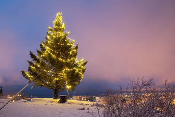 Iceland christmas - 91418624