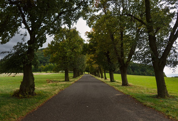 way under the mountain Rip