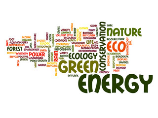 Conceptual ecology word cloud